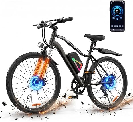 Electric Bike