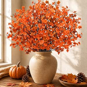 Fall